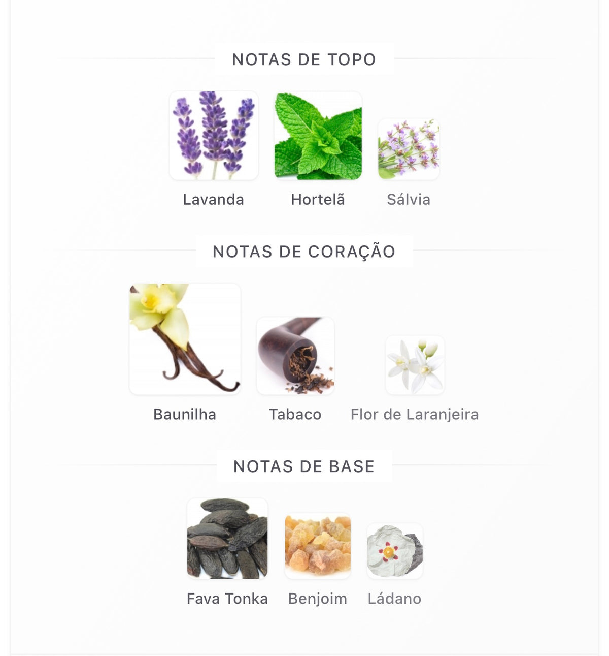 The Kingdom For Men Lattafa - Perfumes Masculino