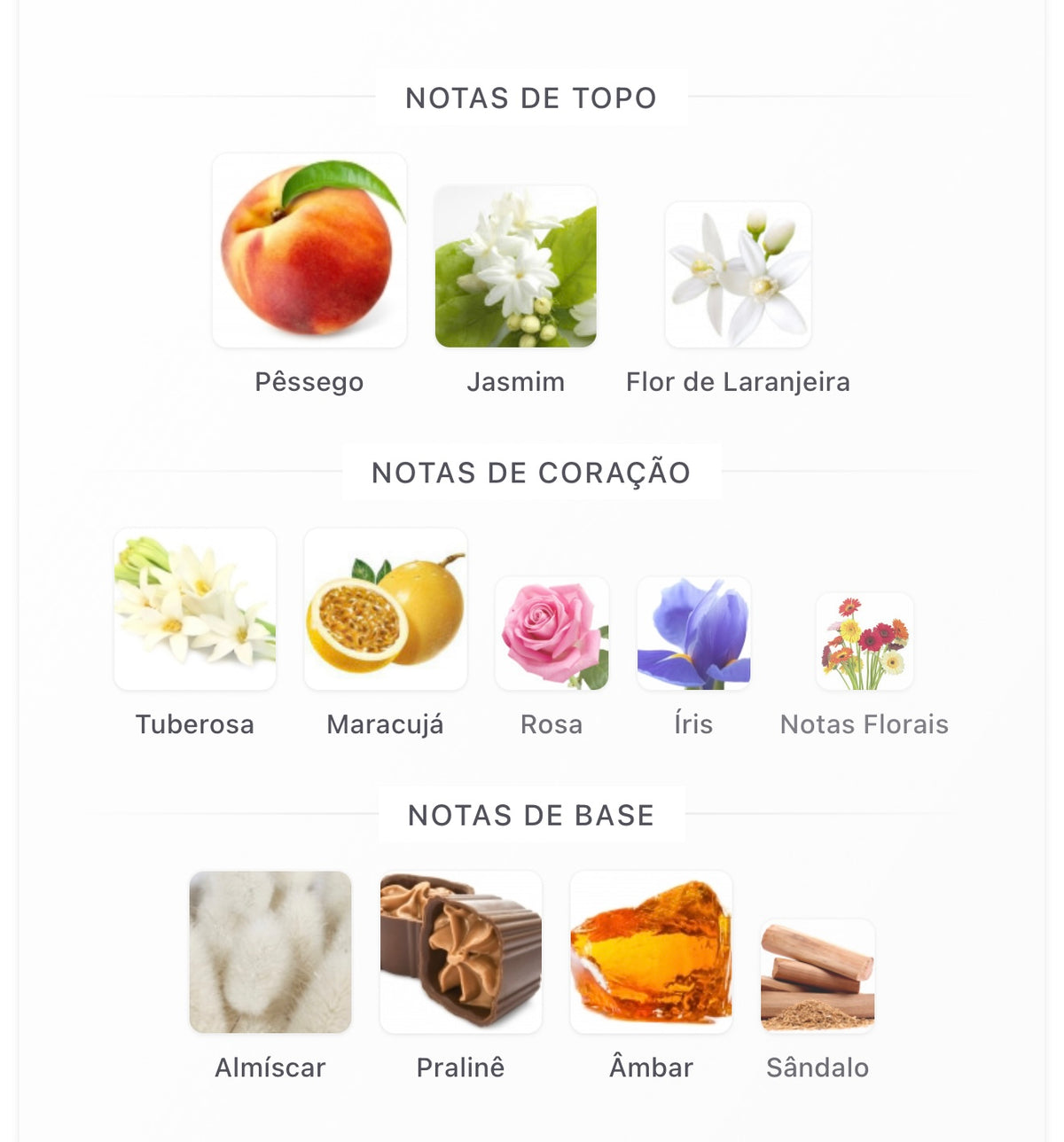 Mayar Lattafa Perfumes Eau de Parfum - Perfume Feminino 100ml