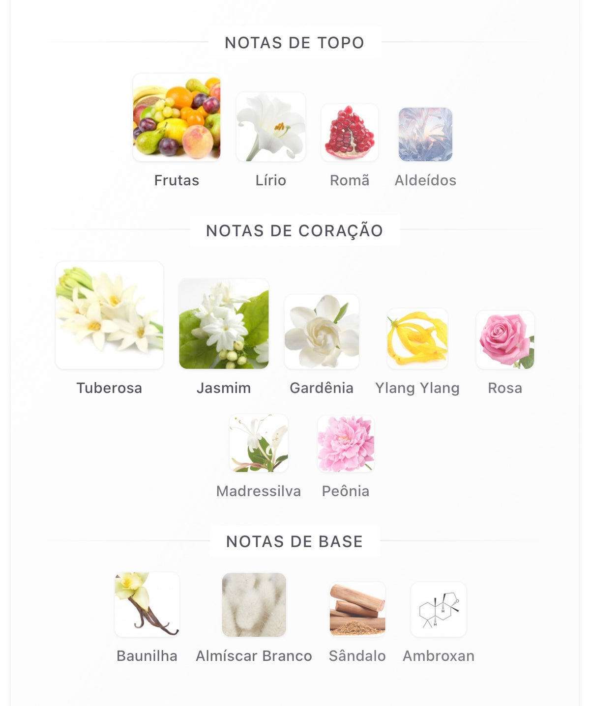 Fakhar Rose Lattafa Eau de Parfum - Perfume Feminino 100ml